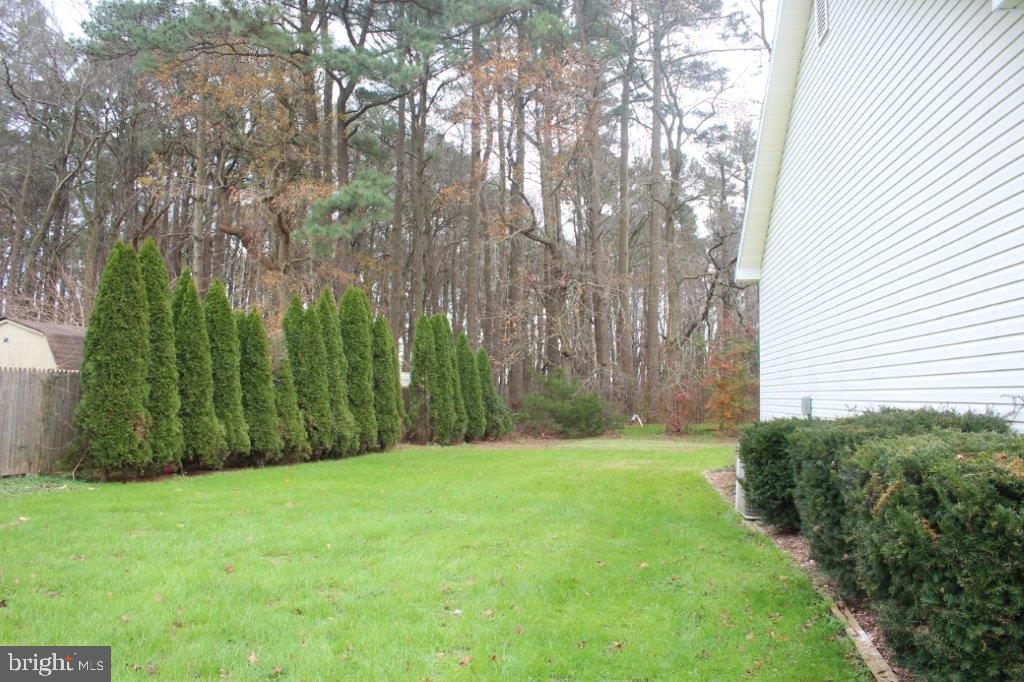 35379 Wango Road Pittsville, MD 21850 - Photo 35 of 39 Side view