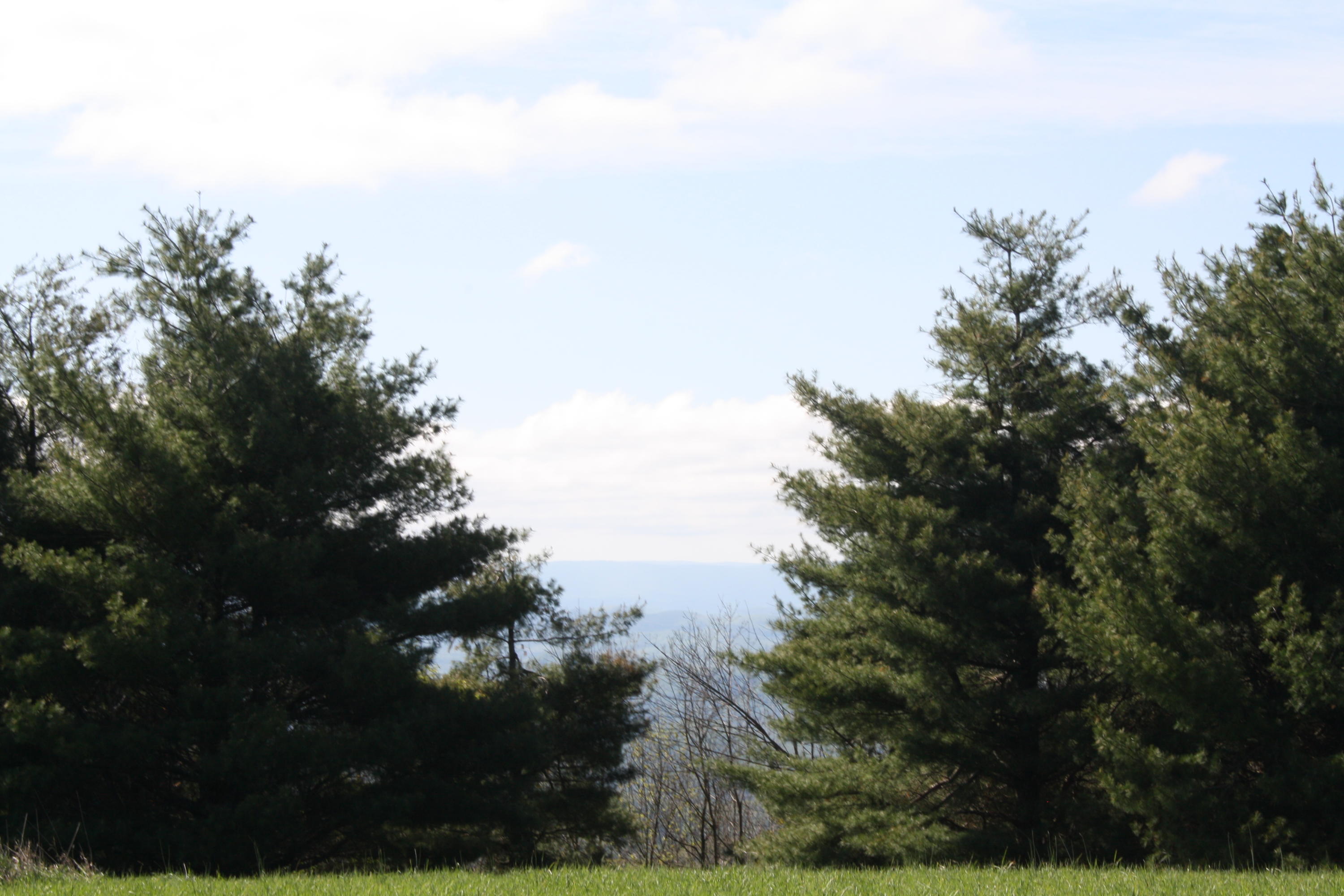 1161 Plumley Mountain Road Sandstone, WV 25985 - Photo 70 of 138 Gallery Image 70