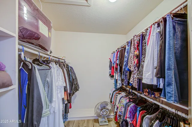 a view of a backyard with plants and swimming pool
