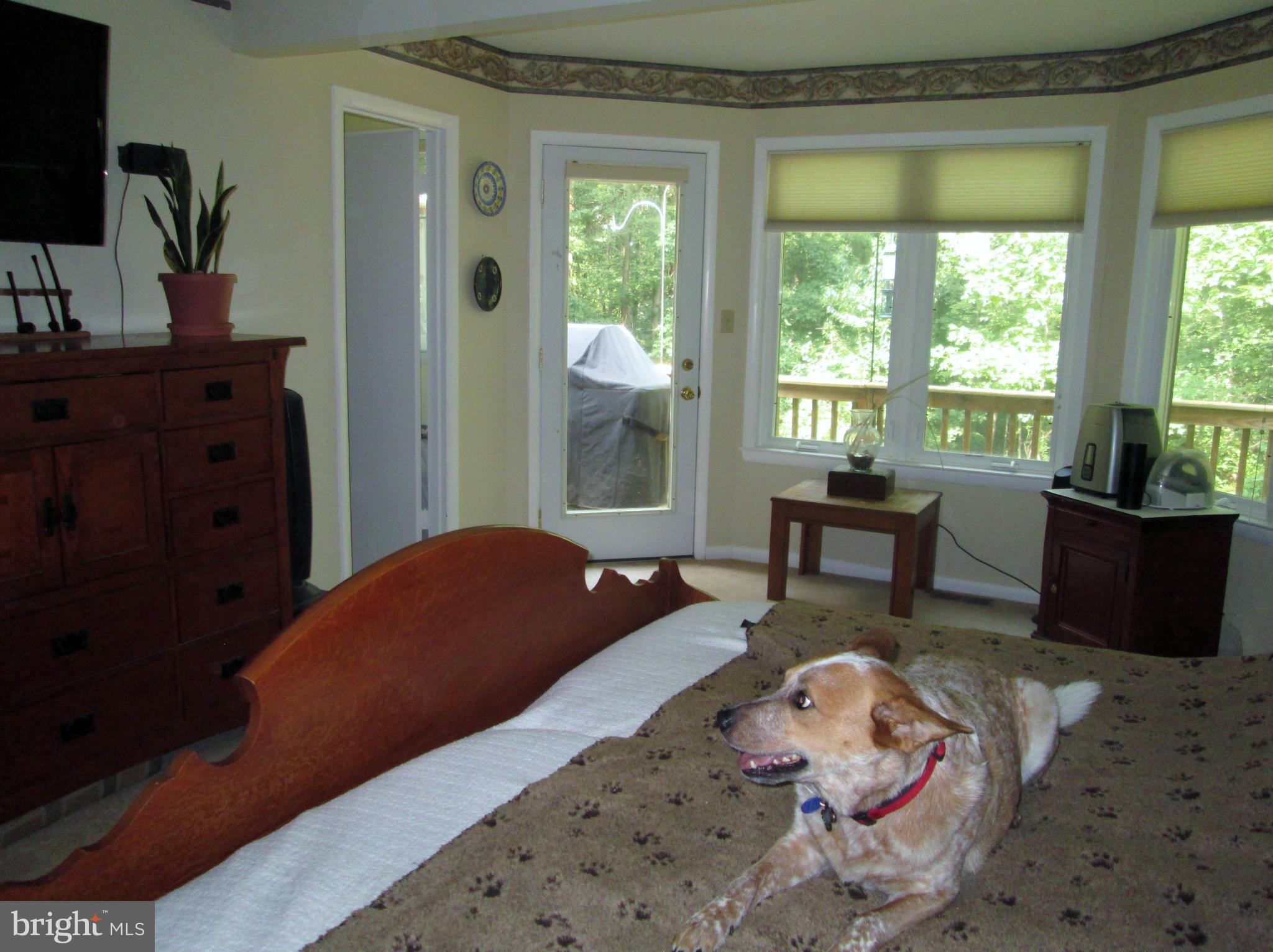 9185 Nana Russell Road Owings, MD 20736 - Photo 17 of 30 Master Bedroom w/door to deck