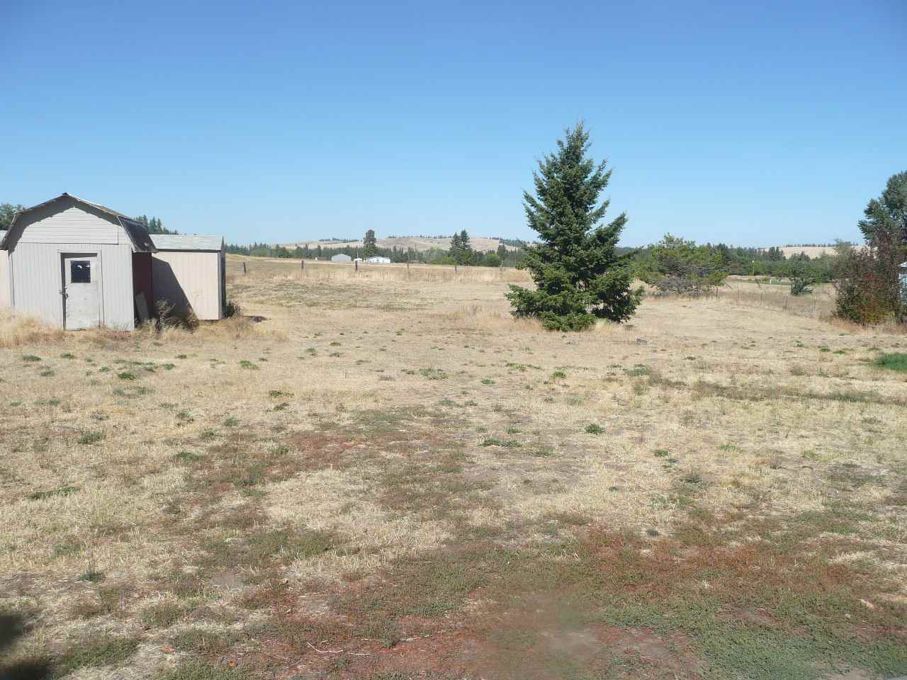 11318 West Betz Road Cheney, WA 99004 - Photo 5 of 15