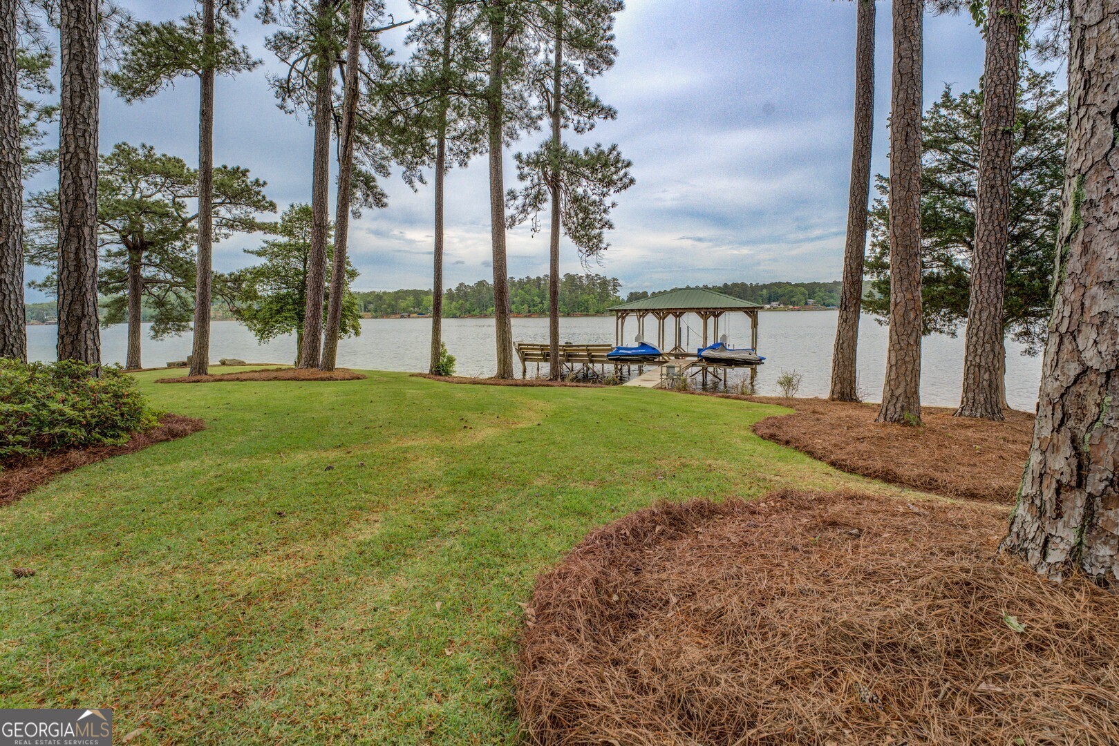 172 Tater Hill Road Jackson, GA 30233 - Photo 70 of 84 a view of a garden with palm trees