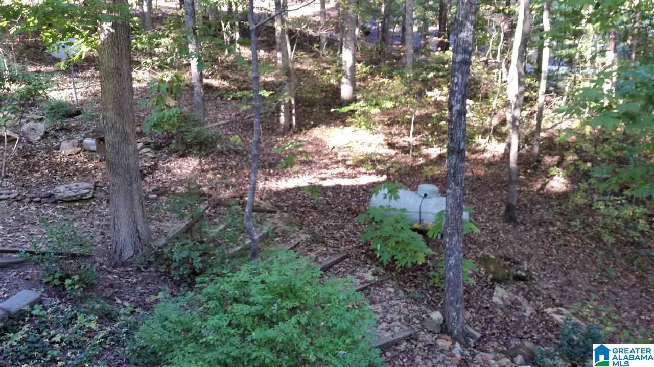 191 County Road 929 Delta, AL 36258 - Photo 6 of 22
