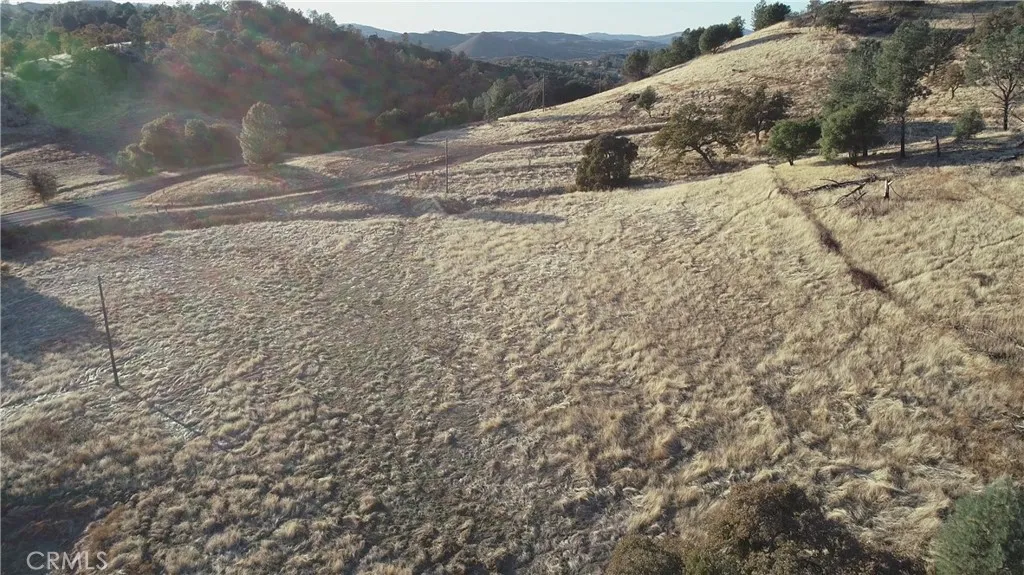 21 Bumguardner Mountain Road Mariposa, CA 95338 - Photo 5 of 10 a view of a dry yard with trees