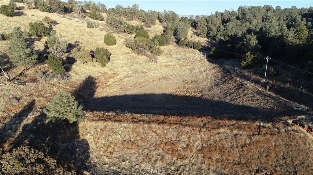 21 Bumguardner Mountain Road Mariposa, CA 95338 - Photo 7 of 10 a view of a yard