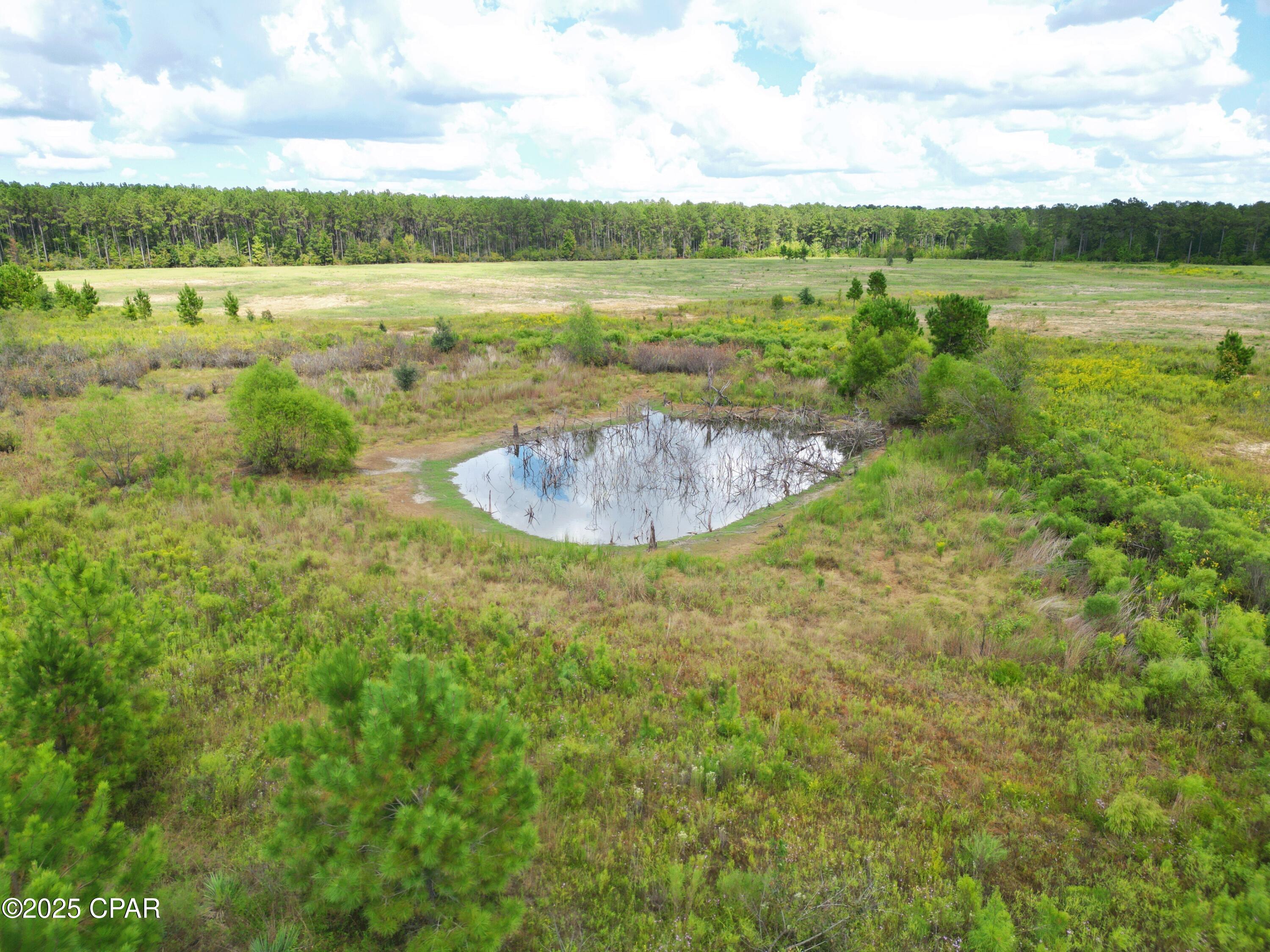 0 River Road Sneads, FL 32460 - Photo 17 of 23