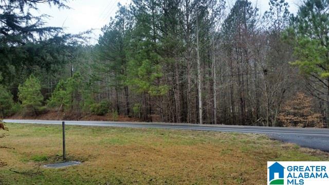 5489 Highway 9 Heflin, AL 36264 - Photo 42 of 50