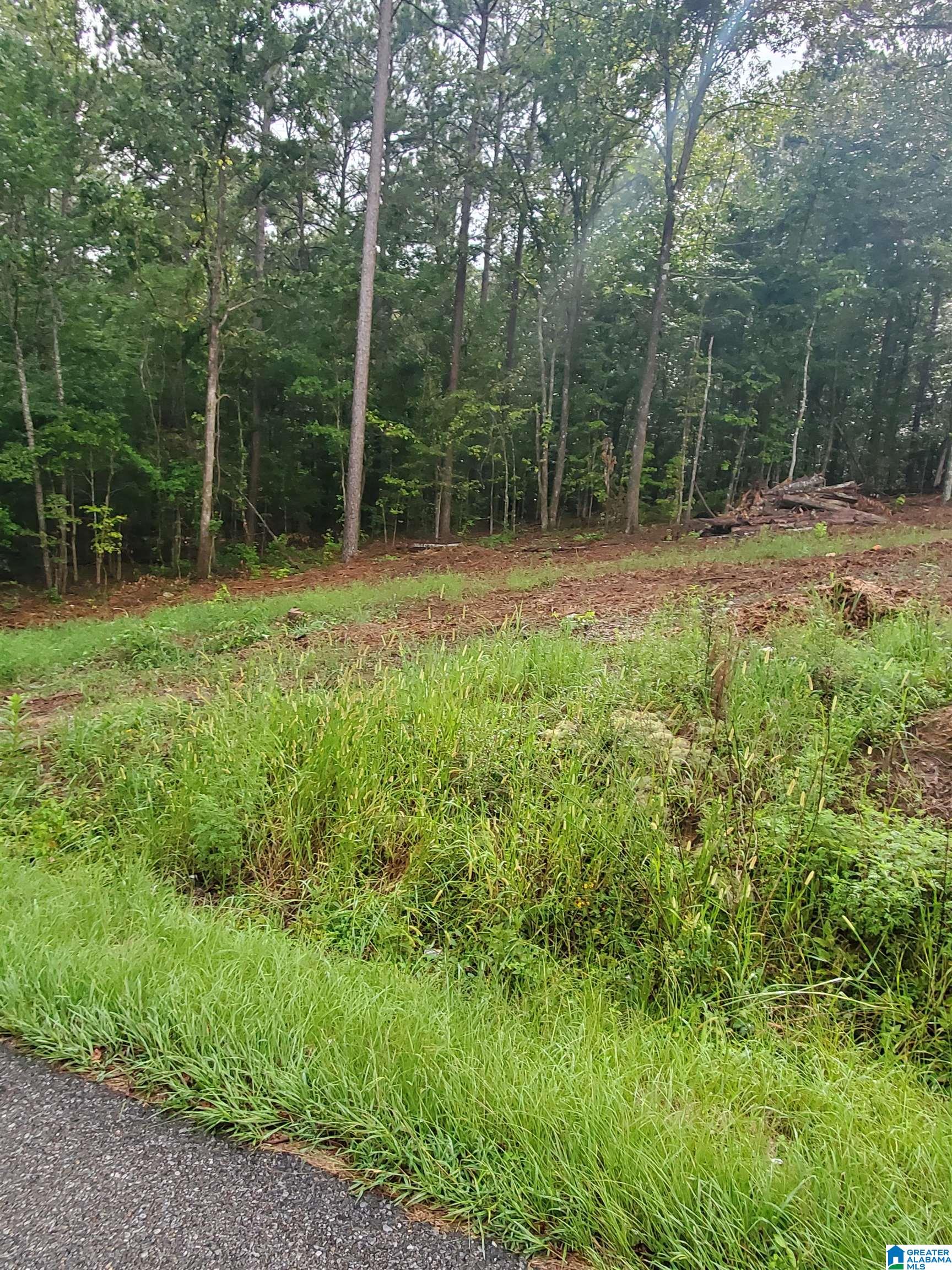 0 Broken Arrow Creek Road, Unit 825 Riverside, AL 35135 - Photo 8 of 12 Gallery Image 8