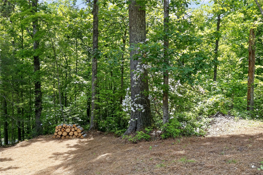400 Mill Creek Road Sunset, SC 29685 - Photo 7 of 8 A tranquil wooded setting provides a peaceful retreat, perfect for a private yard.