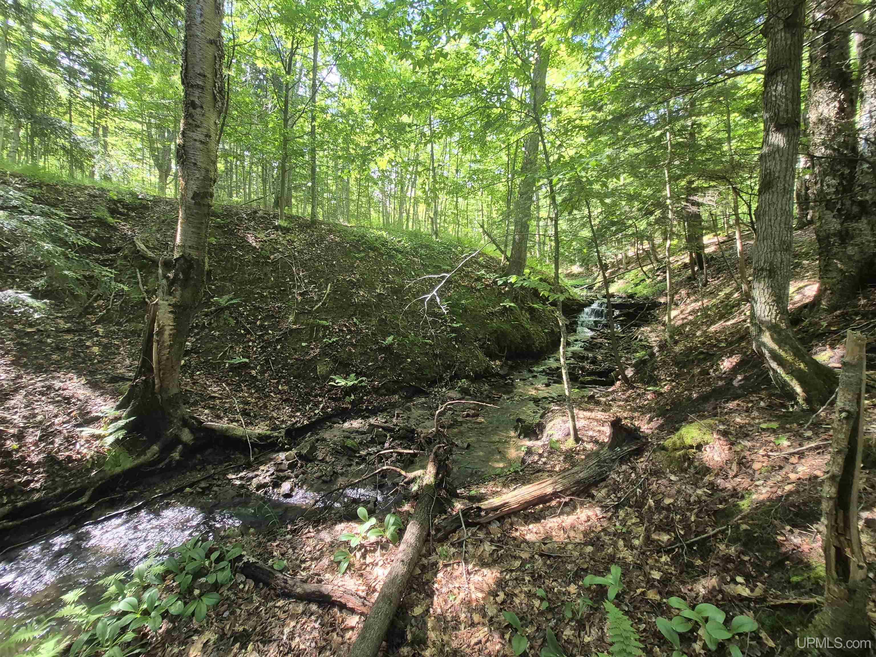 8-acres Nestor Road Munising, MI 49862 - Photo 42 of 43