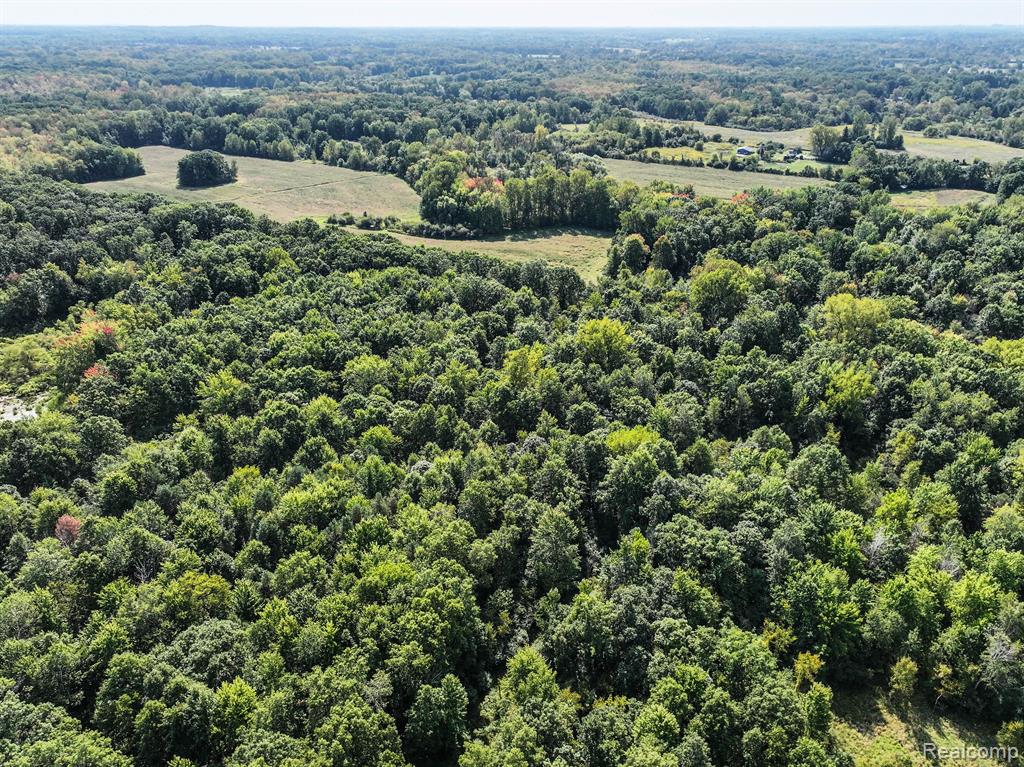 0 Nollar Road Whitmore Lake, MI 48178 - Photo 16 of 28