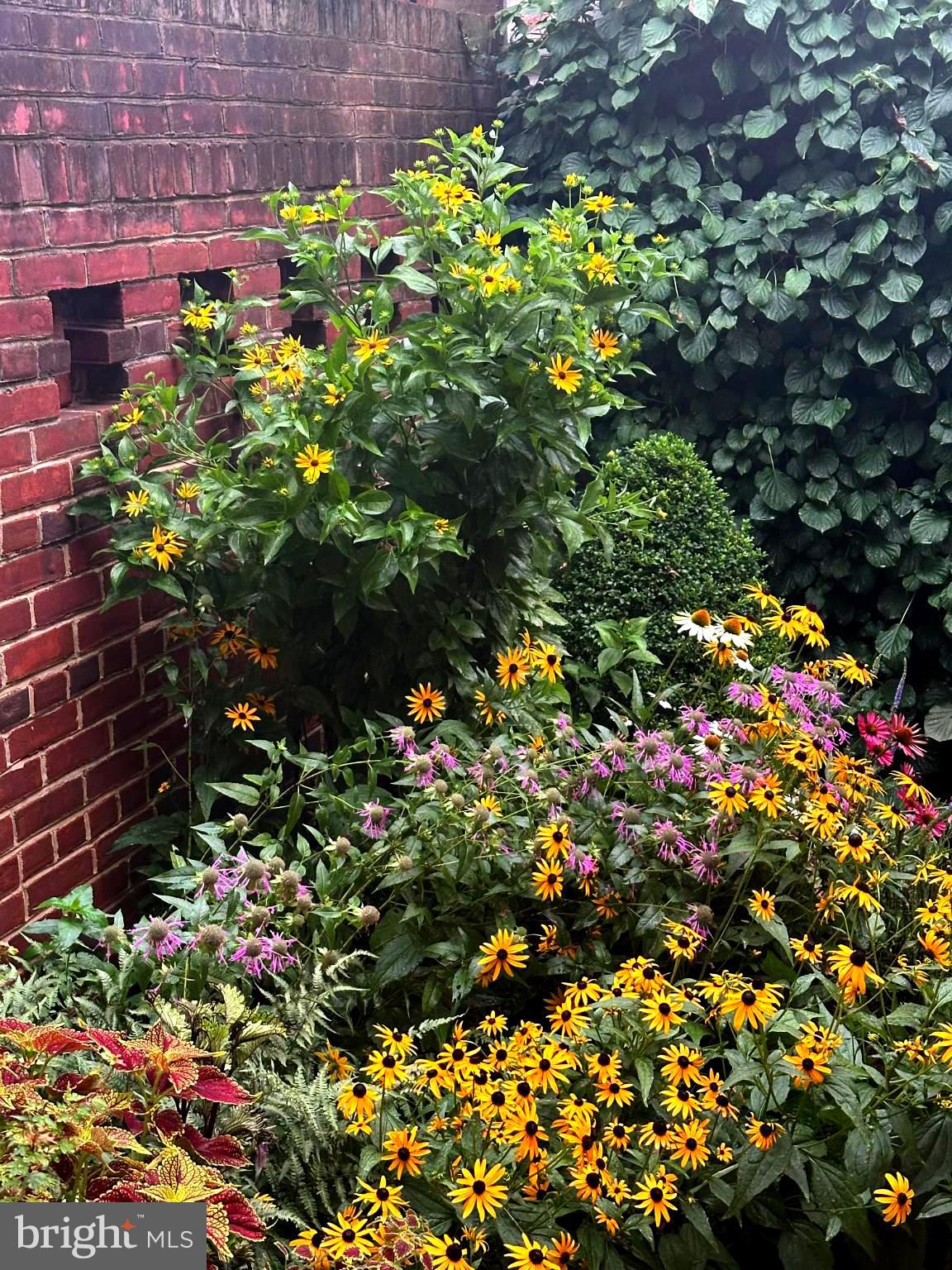 407 Warren Avenue Baltimore, MD 21230 - Photo 33 of 85 Rear patio garden
