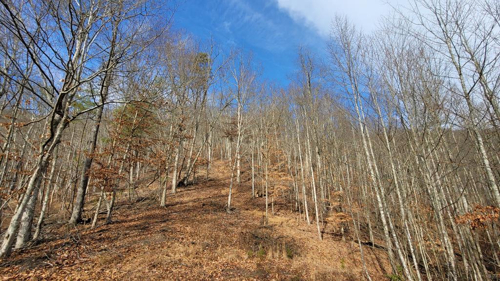 Tbd Mendota Road, Unit 5 & 6 Abingdon, VA 24210 - Photo 35 of 42 Gallery Image 35