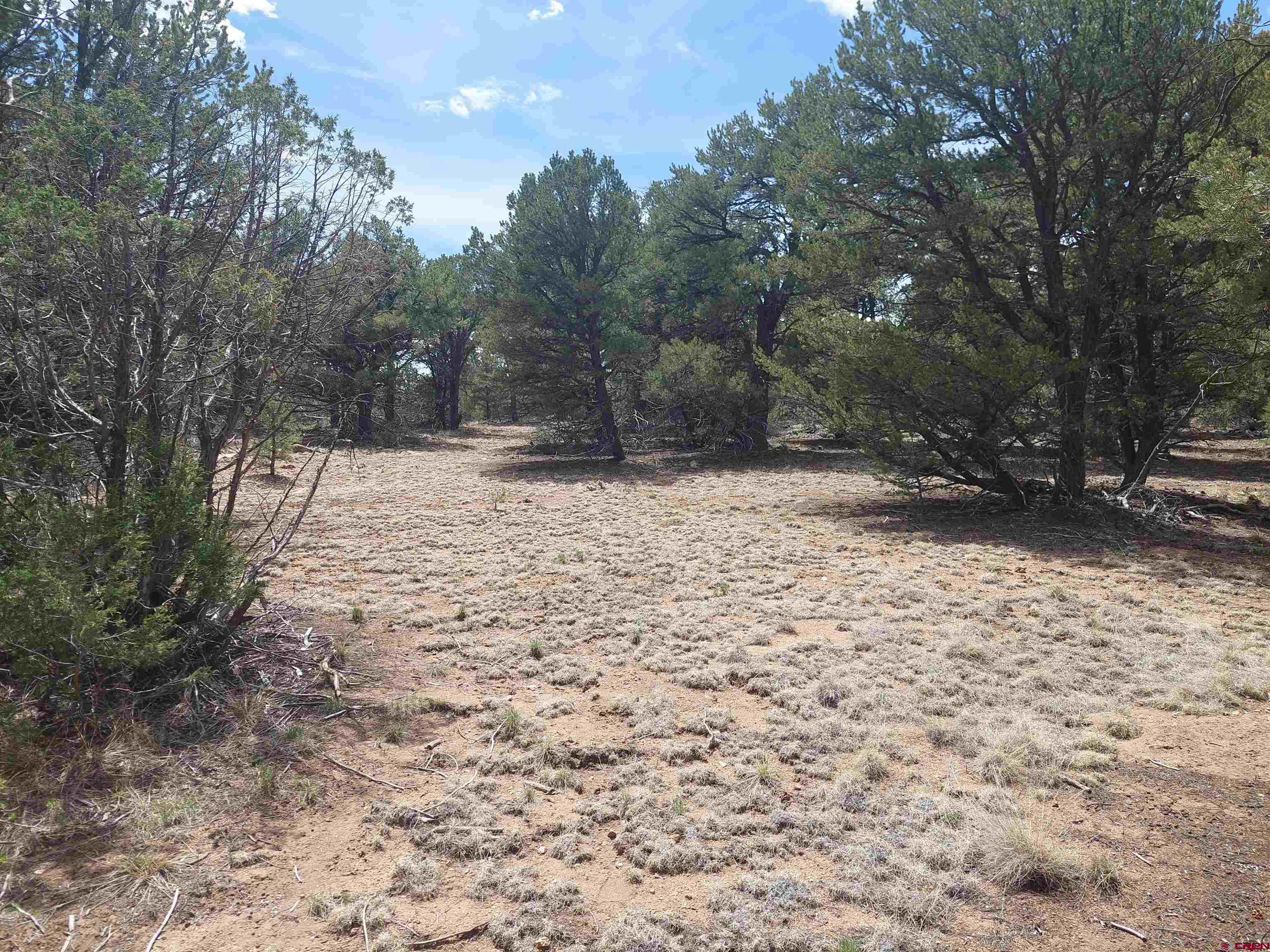 Tract-1 Tract-1 Q Path Cotopaxi, CO 81223 - Photo 10 of 22