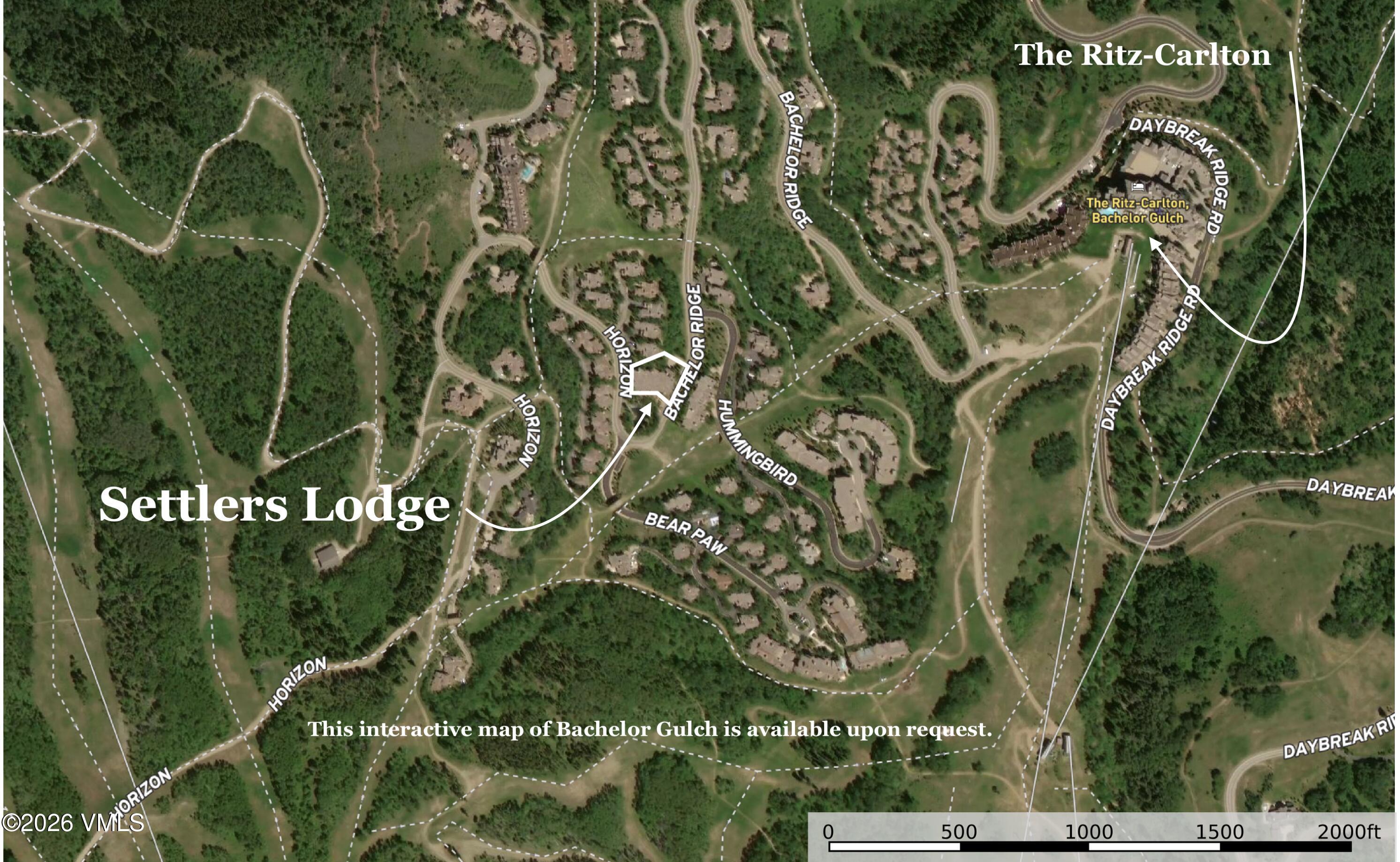 1087 Bachelor Ridge Road, Unit 205 Avon, CO 81620 - Photo 45 of 46 a picture of a tree