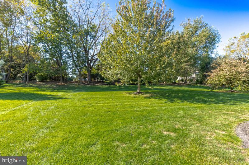 649 Dorset Street Lititz, PA 17543 - Photo 7 of 27 Rear Yard