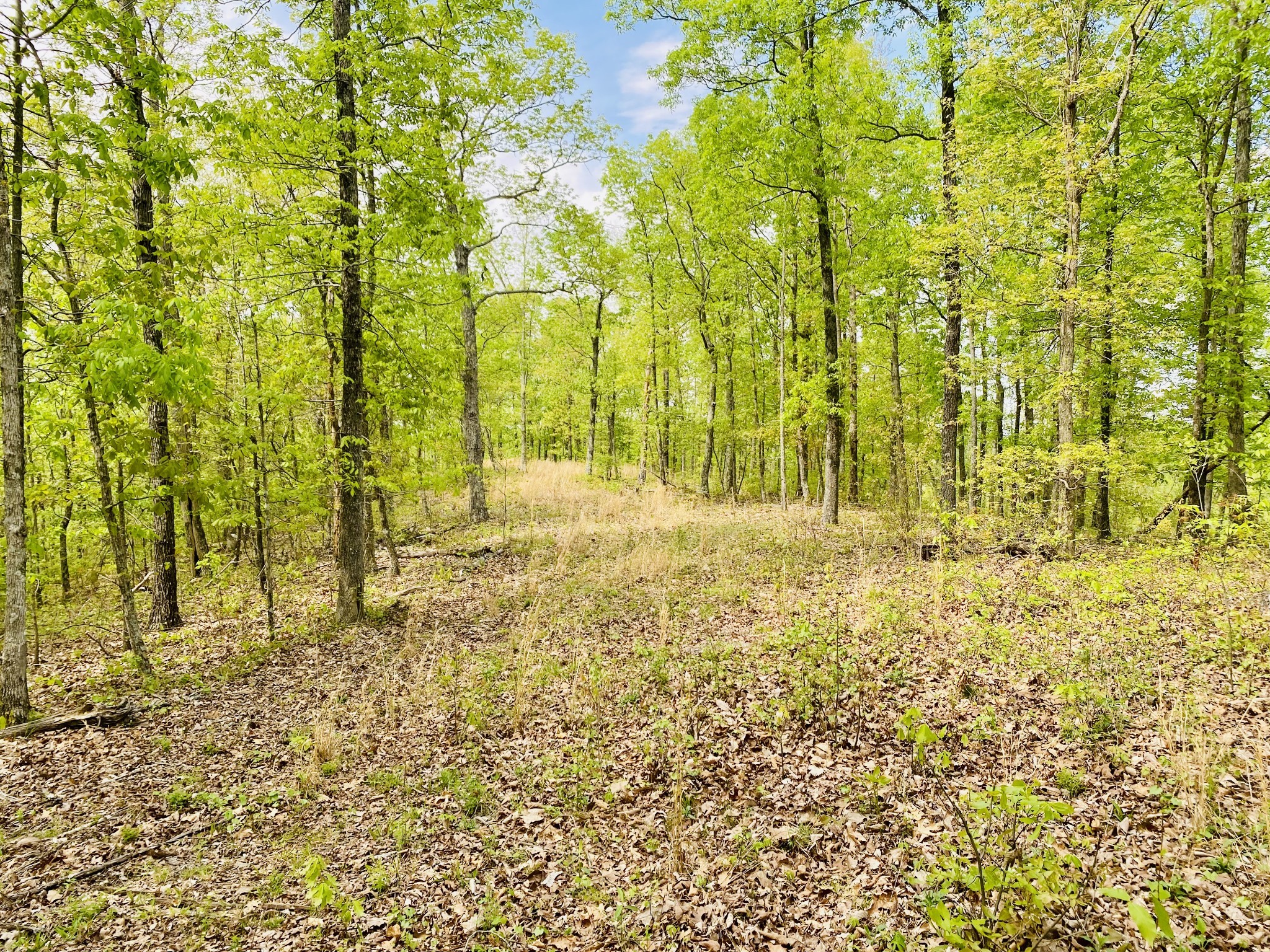 47 Ridge Top Road Stewart, TN 37175 - Photo 1 of 6 Gallery Image 1