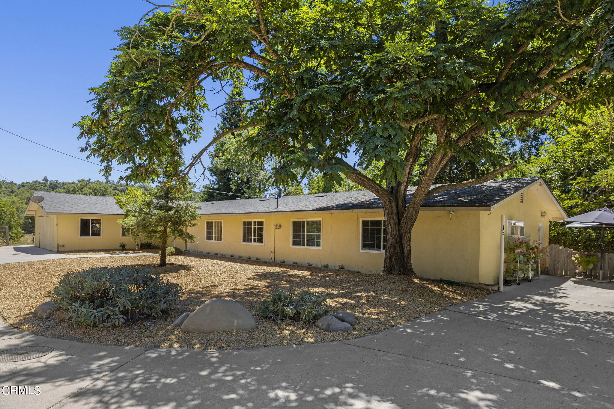 front view of house with a tree