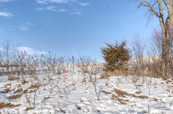 $450,000 | Xxxx 80th Avenue, Mondovi, WI 54755