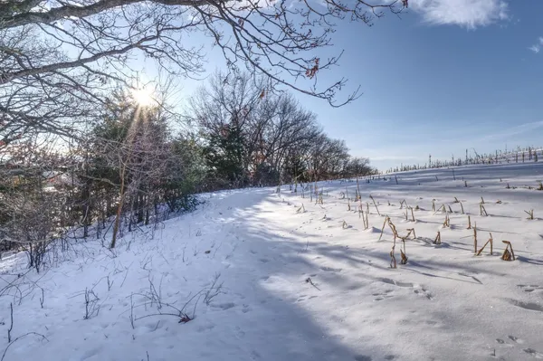 $450,000 | Xxxx 80th Avenue, Mondovi, WI 54755