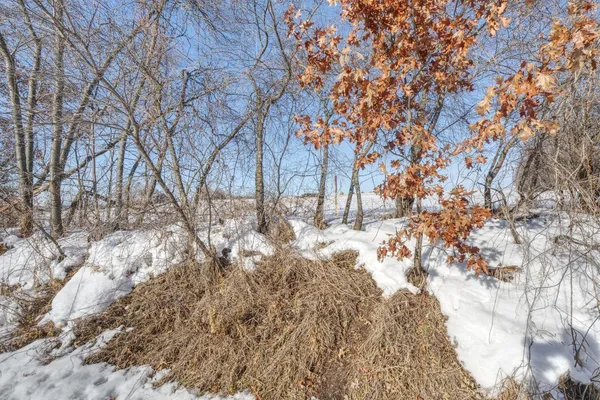 $450,000 | Xxxx 80th Avenue, Mondovi, WI 54755