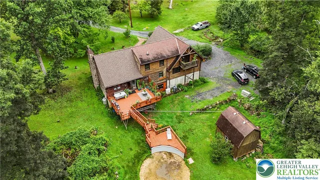 a view of a lush green forest with a tree