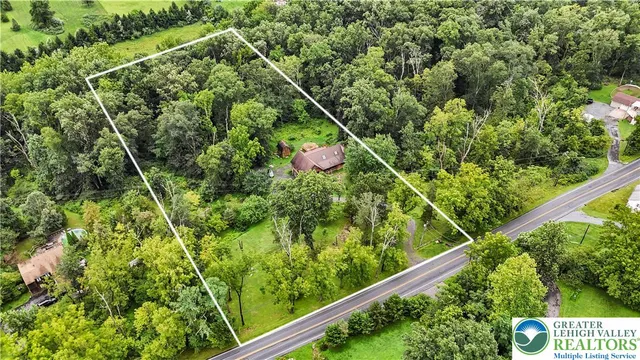 a view of a forest with a street