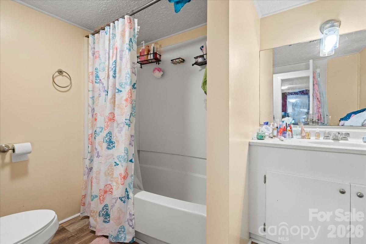 501 Church Street Cheraw, SC 29520 - Photo 31 of 48 a bathroom with a sink a toilet and shower curtain