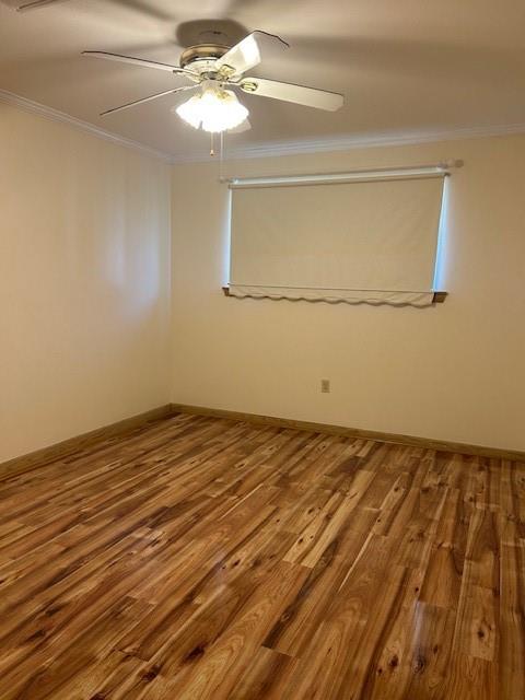 4613 Page Drive Metairie, LA 70003 - Photo 14 of 24