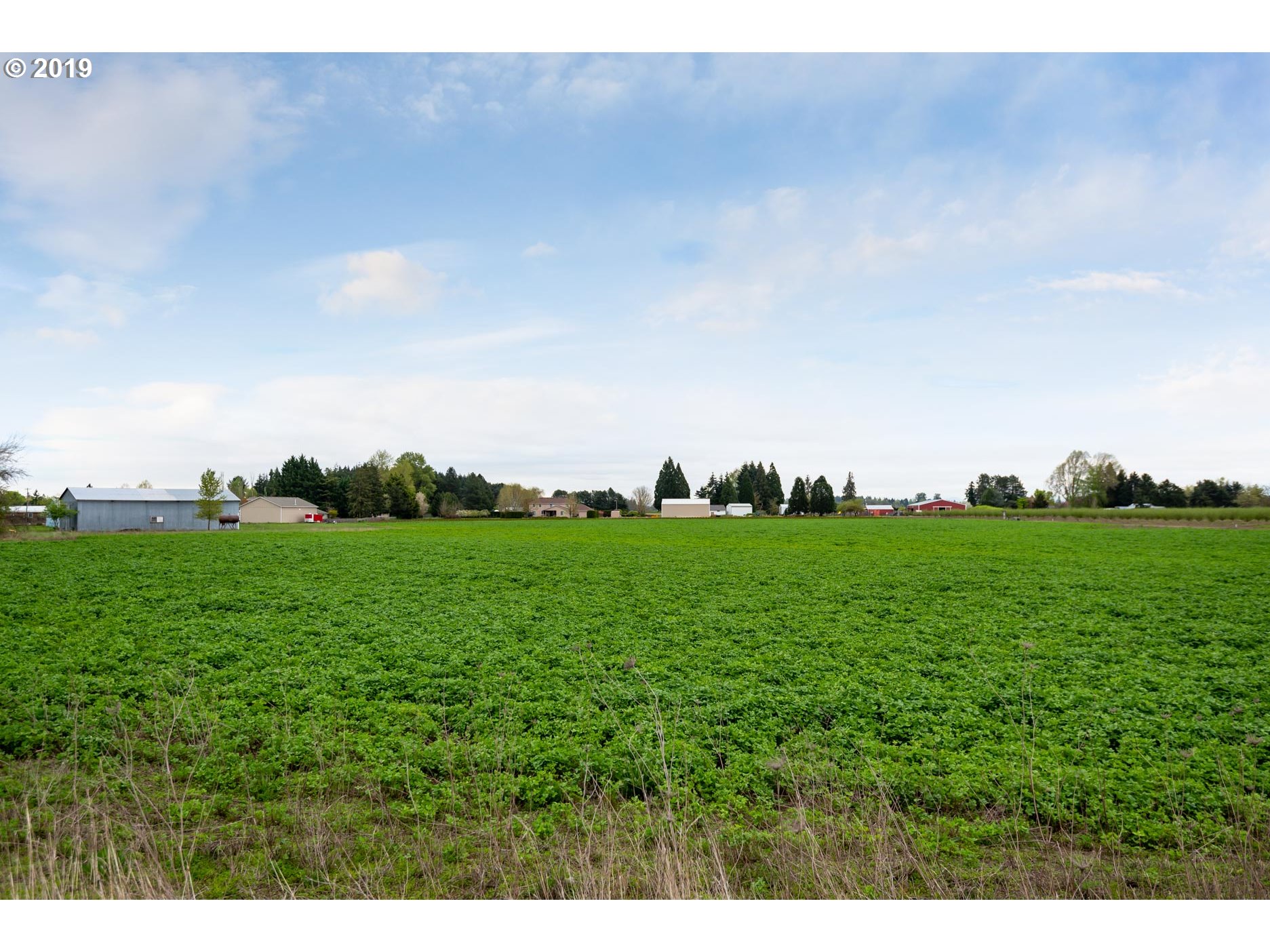 12060 Fargo Road Northeast Aurora, OR 97002 - Photo 28 of 29