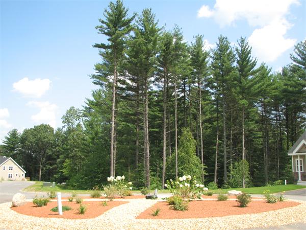 3 D Trail Ridge Way, Unit 8 Harvard, MA 01451 - Photo 23 of 30