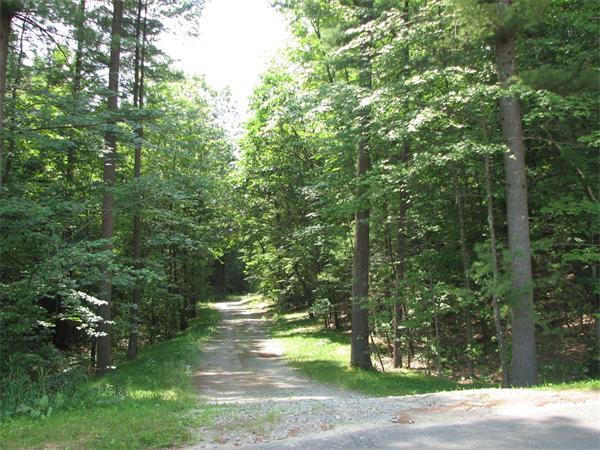 3 D Trail Ridge Way, Unit 8 Harvard, MA 01451 - Photo 26 of 30