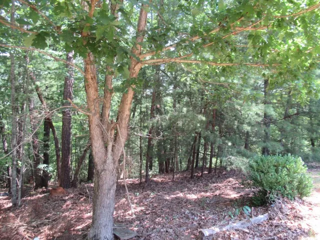 $425,000 | 13 Hallmark Place, Dahlonega, GA 30533