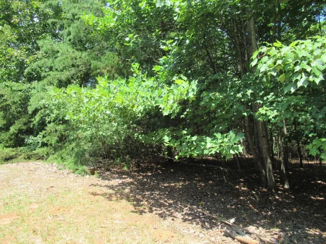 $425,000 | 13 Hallmark Place, Dahlonega, GA 30533