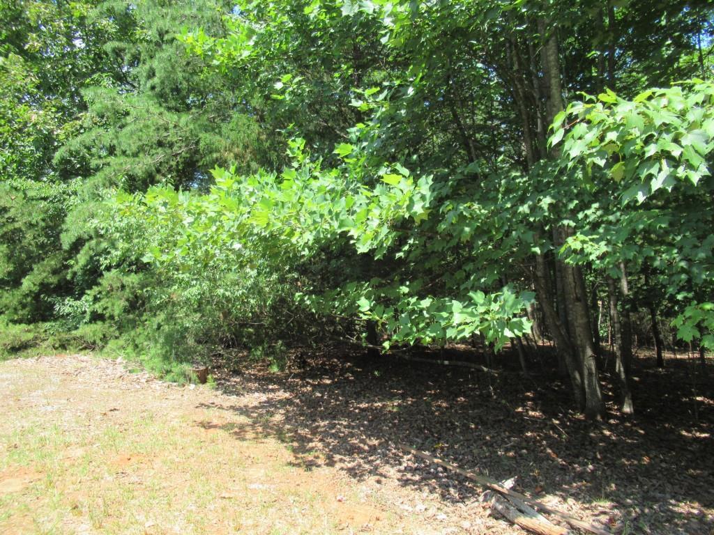 13 Hallmark Place Dahlonega, GA 30533 - Photo 14 of 62