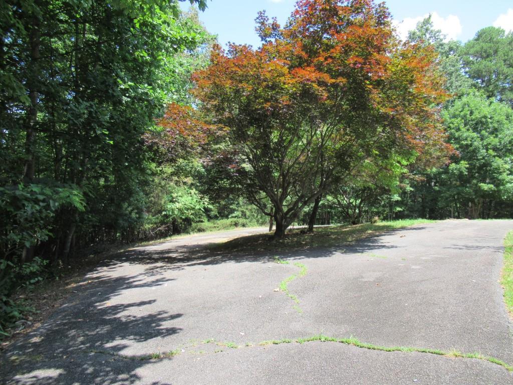 13 Hallmark Place Dahlonega, GA 30533 - Photo 19 of 62