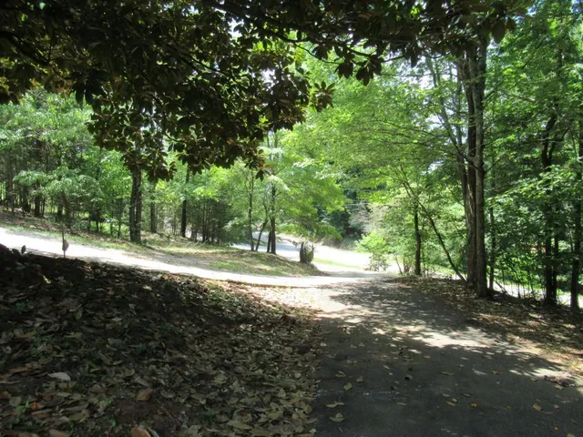 $425,000 | 13 Hallmark Place, Dahlonega, GA 30533