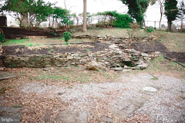 a view of a yard with a tree