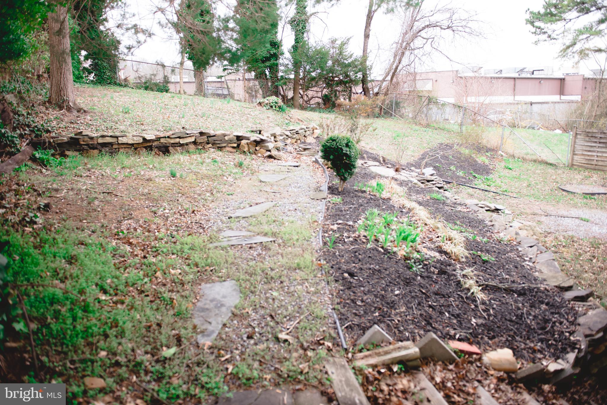 521 Warren Road, Unit 2 Cockeysville, MD 21030 - Photo 19 of 19 a view of a yard with a tree