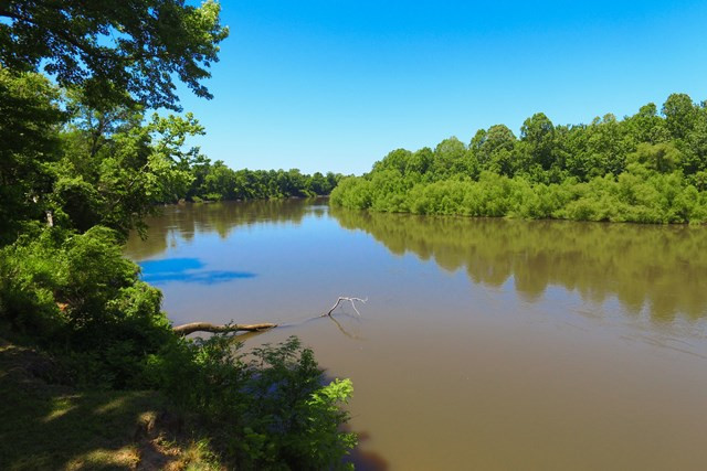 11864 Burtons Ferry Martin, SC 29836 - Photo 43 of 46