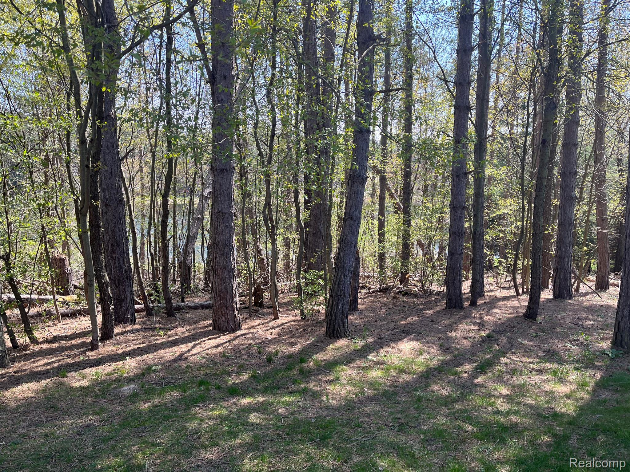 4266 Casey Road Dryden, MI 48428 - Photo 10 of 35 Gallery Image 10