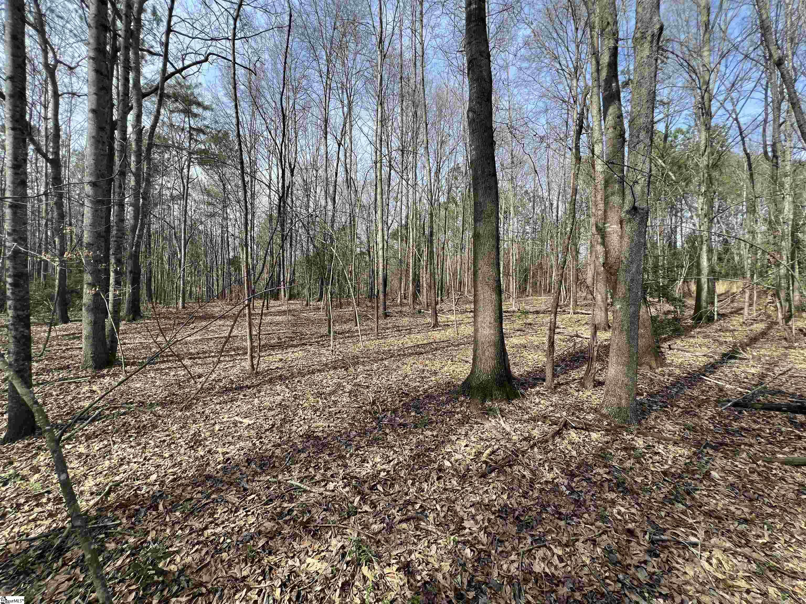 3 Old Bethlehem School Road Pickens, SC 29671 - Photo 11 of 16 Gallery Image 11
