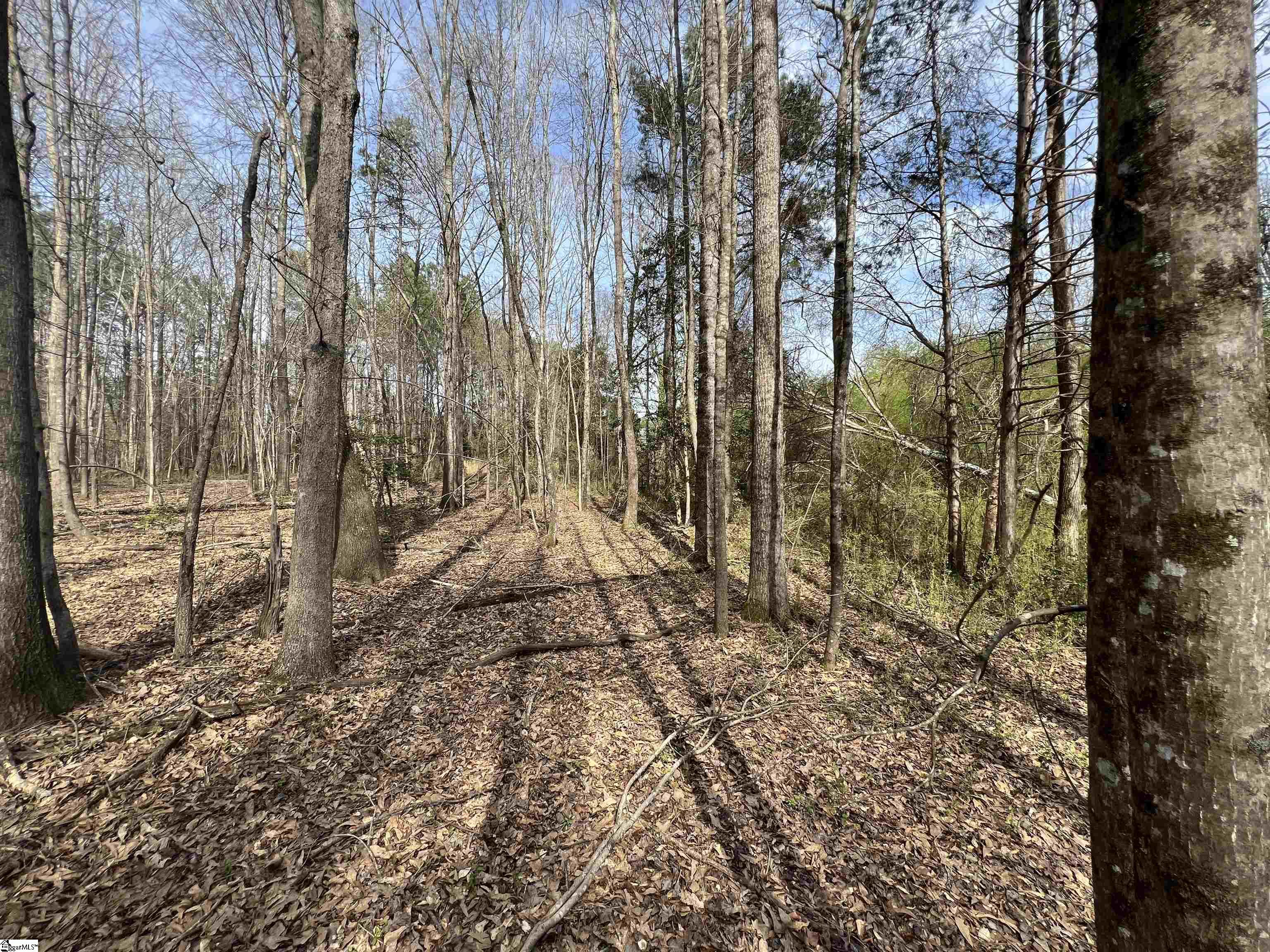 3 Old Bethlehem School Road Pickens, SC 29671 - Photo 12 of 16 Gallery Image 12