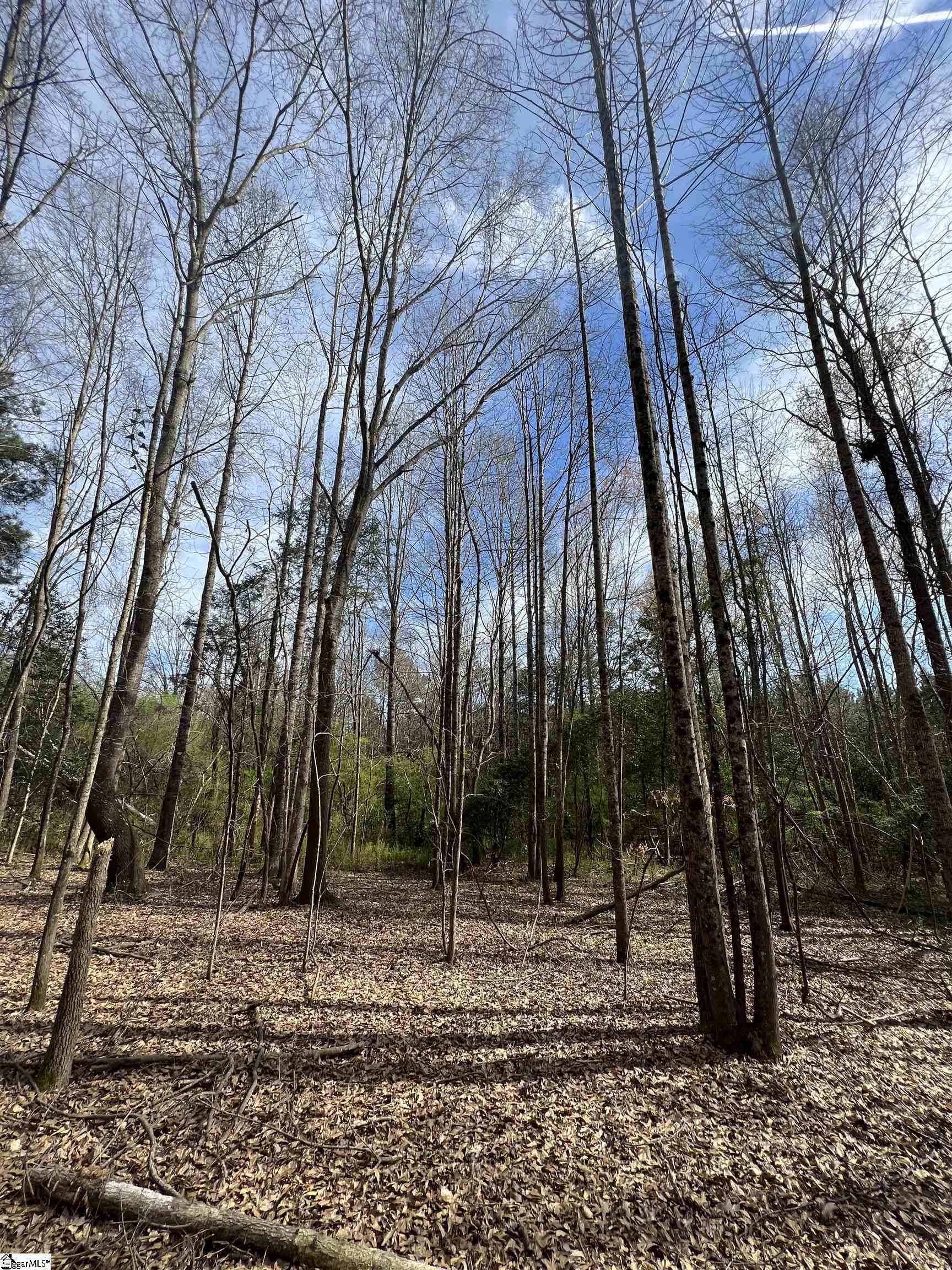 3 Old Bethlehem School Road Pickens, SC 29671 - Photo 13 of 16 Gallery Image 13