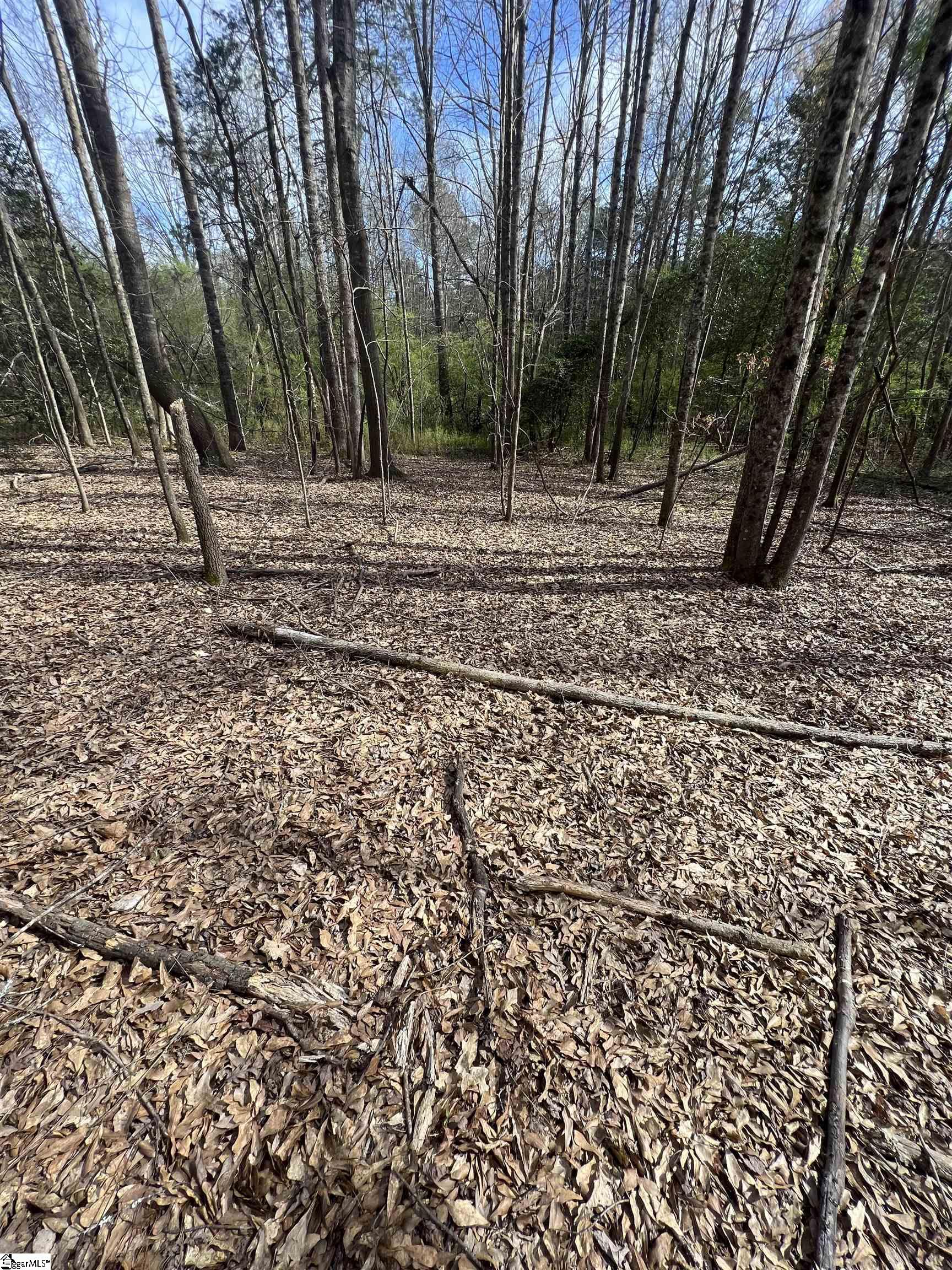 3 Old Bethlehem School Road Pickens, SC 29671 - Photo 14 of 16 Gallery Image 14