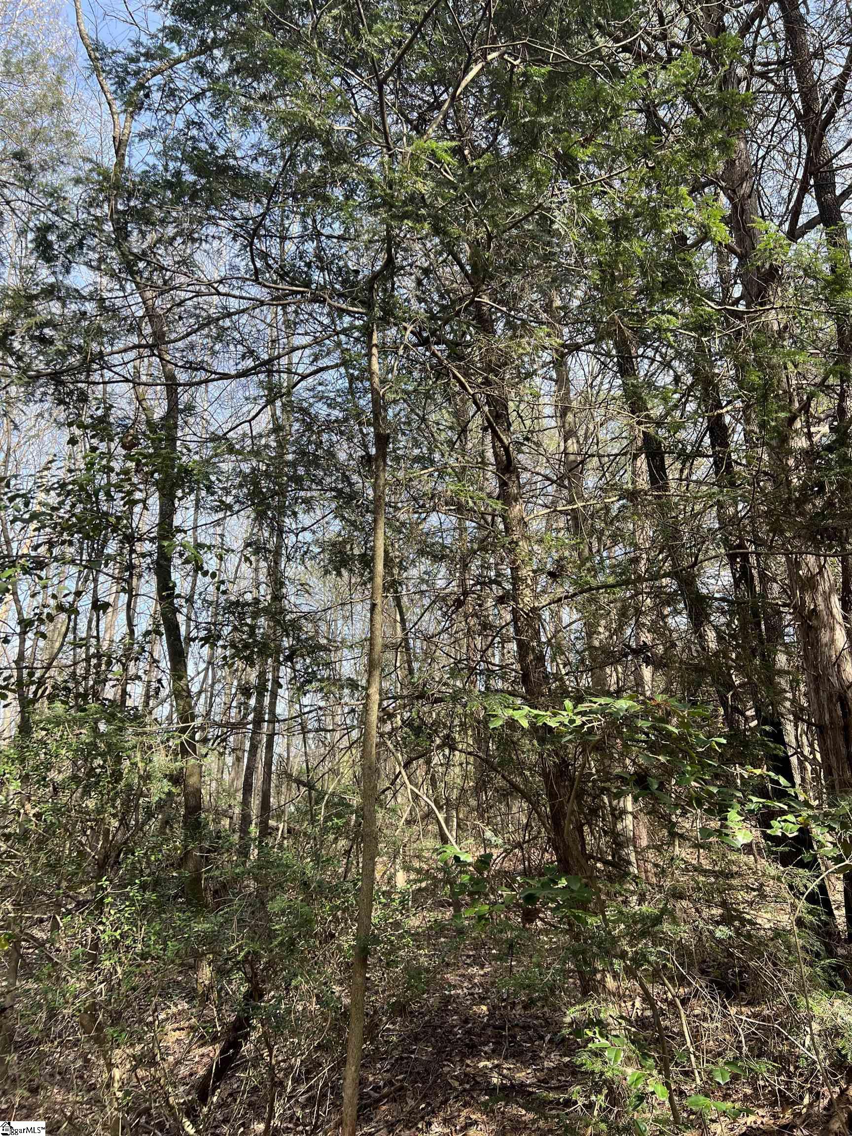 3 Old Bethlehem School Road Pickens, SC 29671 - Photo 16 of 16 Gallery Image 16