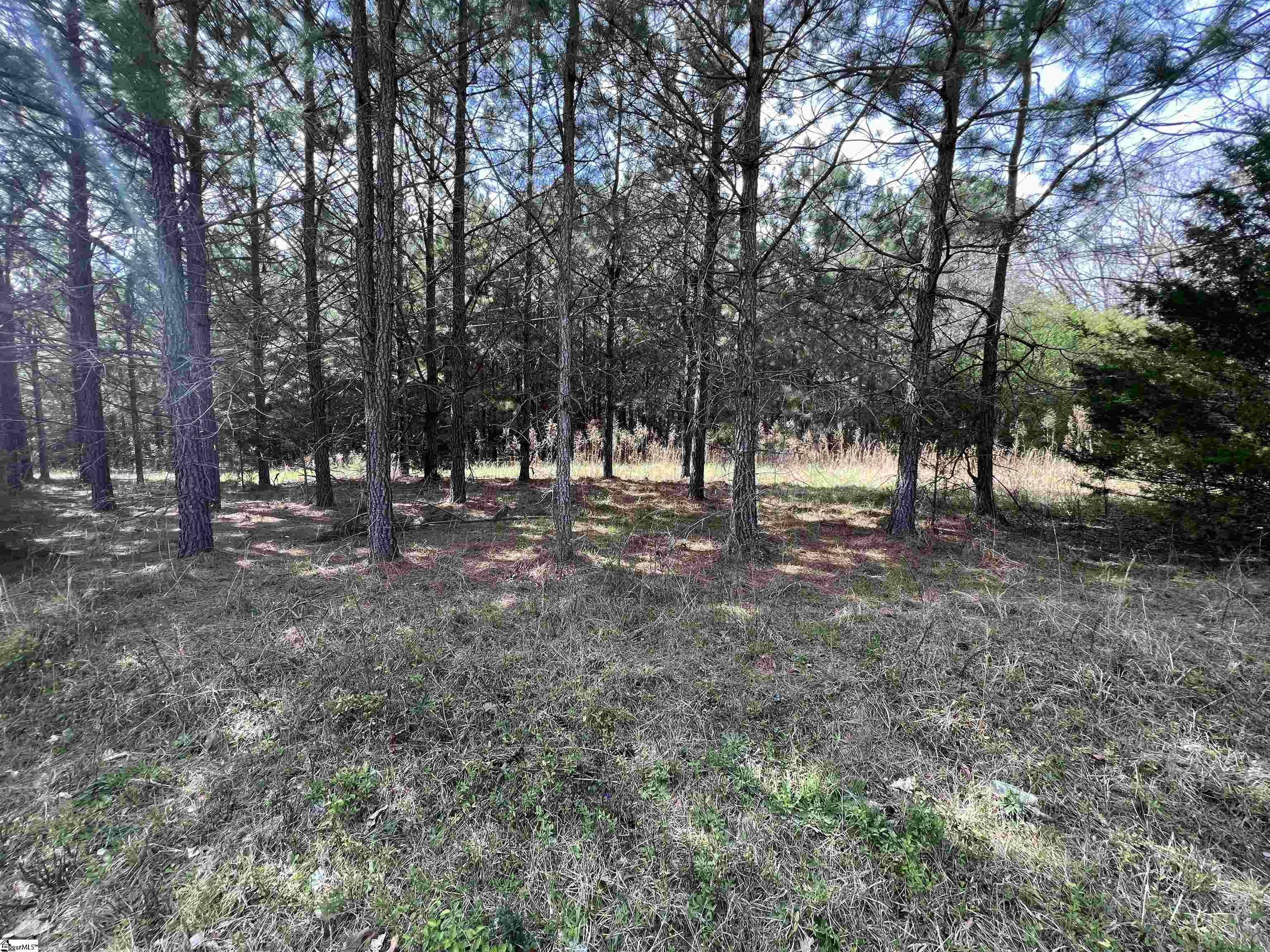 3 Old Bethlehem School Road Pickens, SC 29671 - Photo 4 of 16 Gallery Image 4