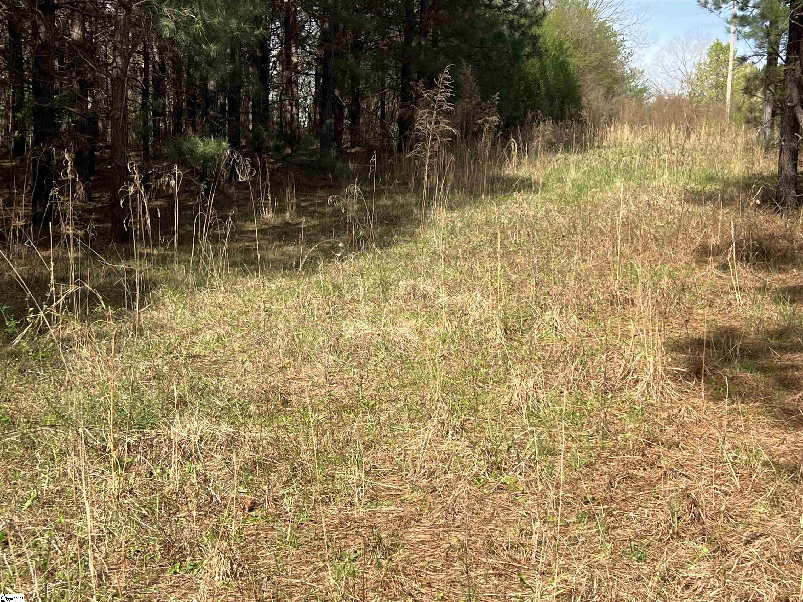 3 Old Bethlehem School Road Pickens, SC 29671 - Photo 5 of 16 Gallery Image 5