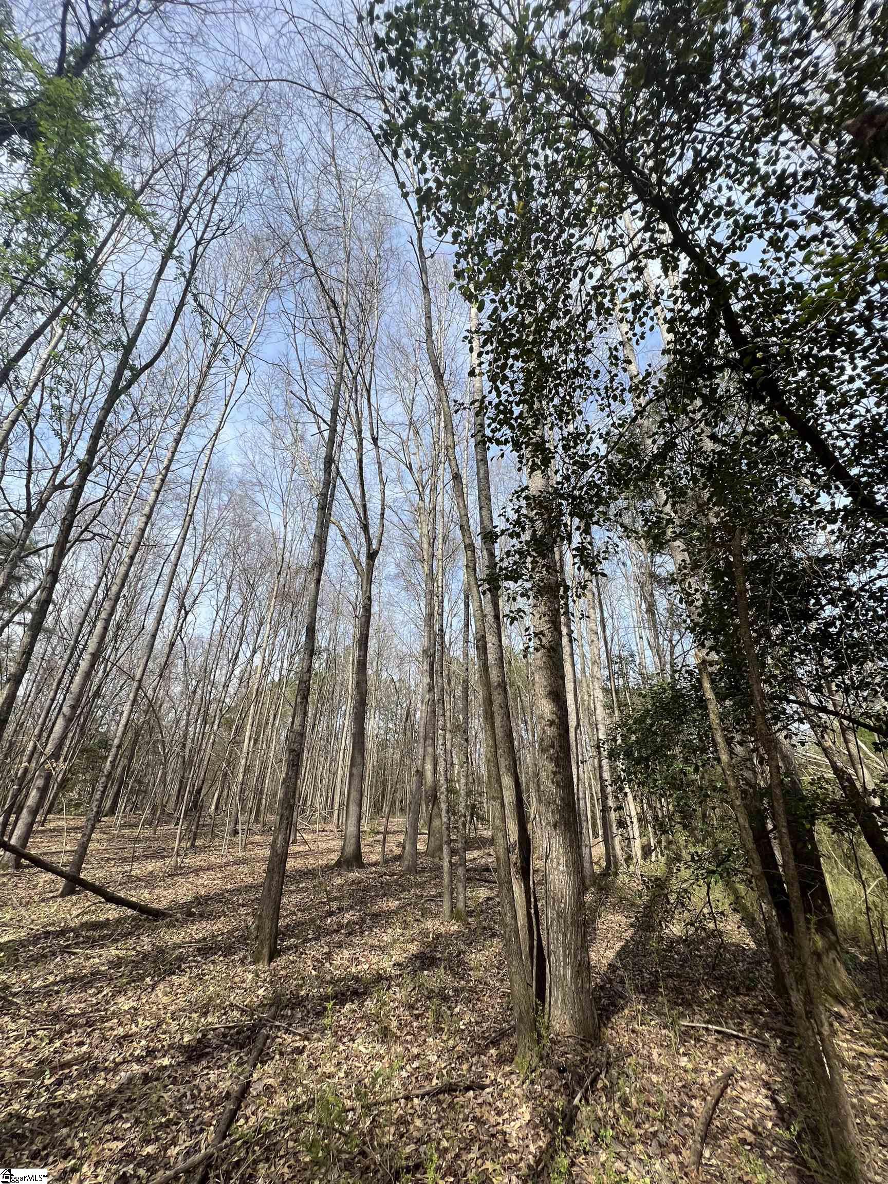 3 Old Bethlehem School Road Pickens, SC 29671 - Photo 6 of 16 Gallery Image 6