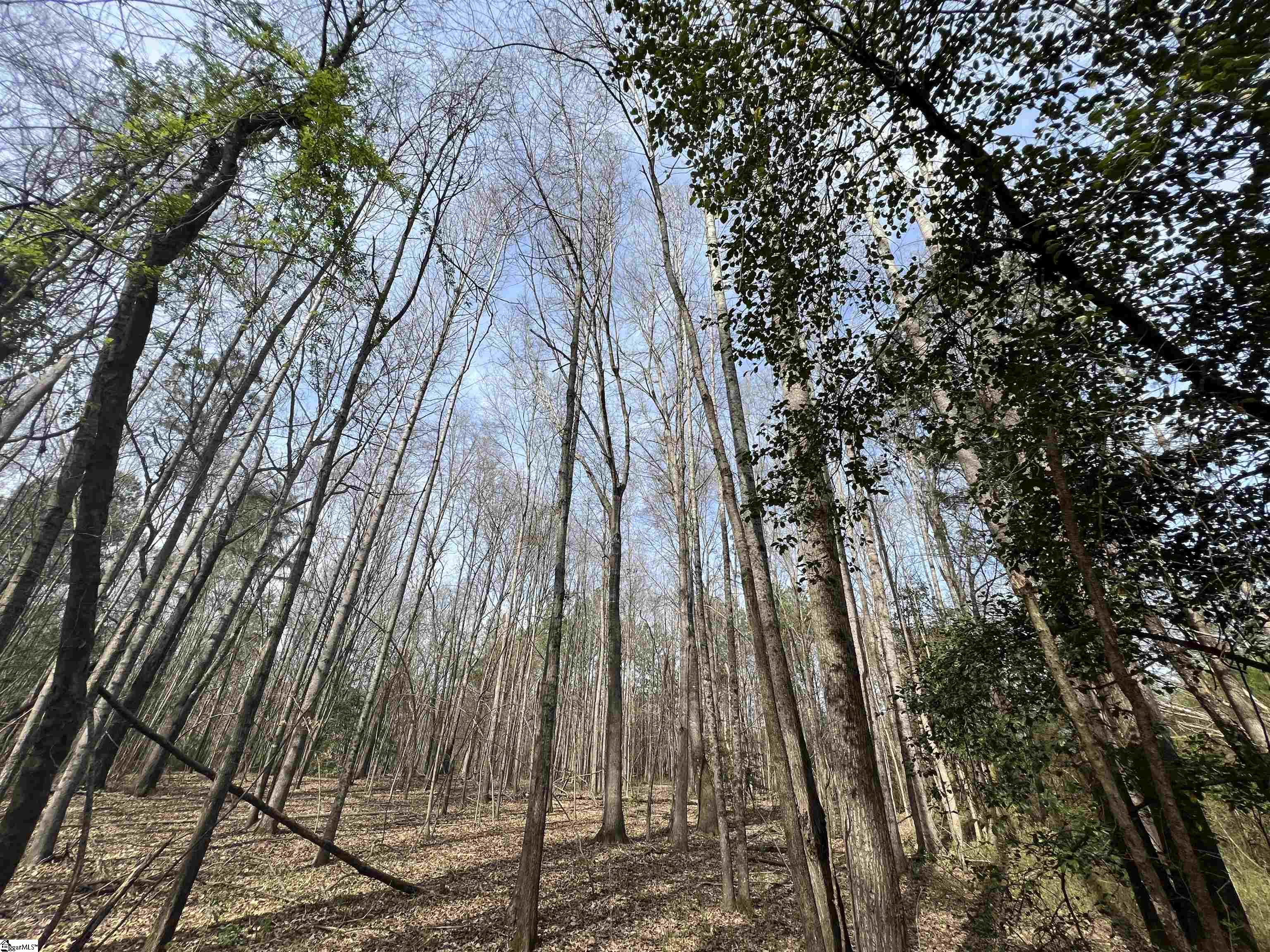 3 Old Bethlehem School Road Pickens, SC 29671 - Photo 7 of 16 Gallery Image 7